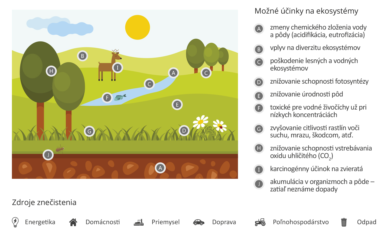 možné účinky na ekosystémy